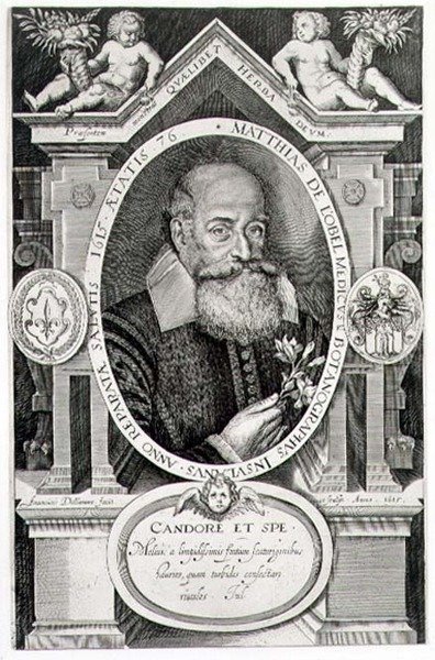 Taiteilijan kaivertama Matthias de Lobelin (1538-1622) muotokuva tekijältä Francis Delaram