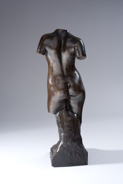 Torso tekijältä Francis Derwent Wood