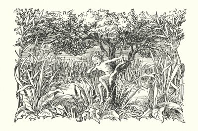Merrie England: Robin Goodfellow (litografia) tekijältä Francis Donkin Bedford