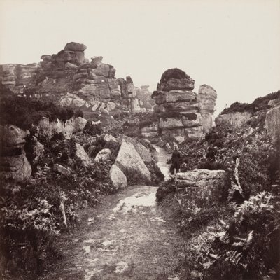 Brimham Rocks, Yorkshire tekijältä Francis Frith