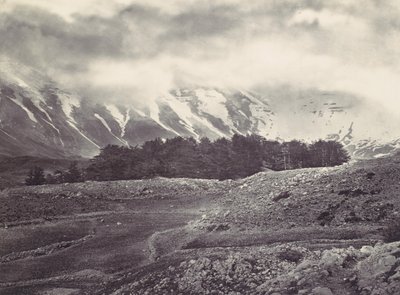 Kaukainen näkymä Libanonin Cedarsille, n. 1857. tekijältä Francis Frith