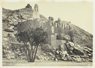 Doum Palm ja rauniomoskeija, Philæ, 1857. tekijältä Francis Frith