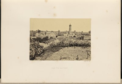 Gaza (Vanha kaupunki) tekijältä Francis Frith