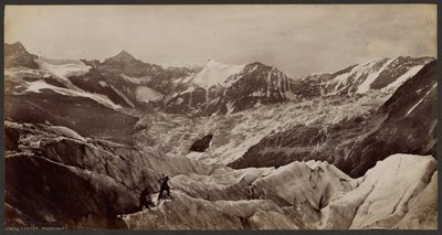 Jäämeri: Grindelwald tekijältä Francis Frith