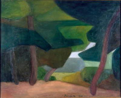Maisema Cassis tekijältä Francis Picabia