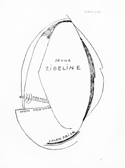 Poemes et Dessins de la Fille nee sans Mere, nro 15, julkaisija Imprimeries Reunies, Lausanne. tekijältä Francis Picabia