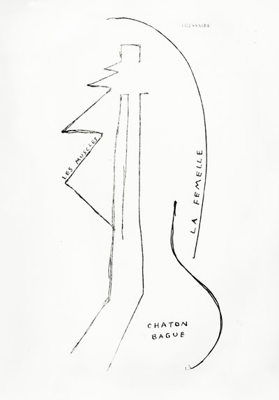 Poemes et Dessins de la Fille nee sans Mere, nro 23, julkaisija Imprimeries Reunies, Lausanne. tekijältä Francis Picabia