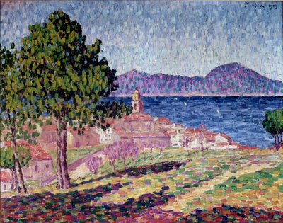 Näkymä Saint Tropeziin, Citadel tekijältä Francis Picabia