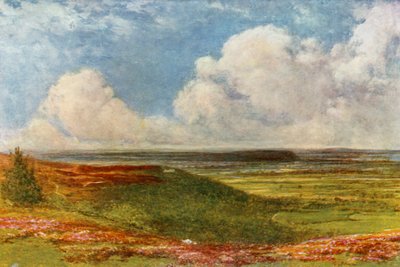 Blackdown yleinen tekijältä Francis S. Walker