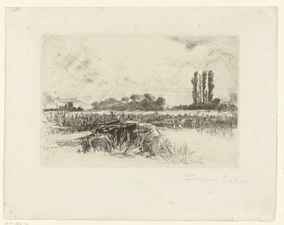 tulva Veden niitty tekijältä Francis Seymour Haden (Sir) (signed by artist)