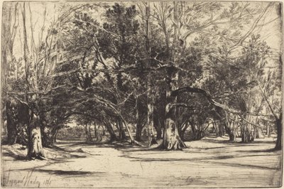 Sivutie Tipperaryssa tekijältä Francis Seymour Haden