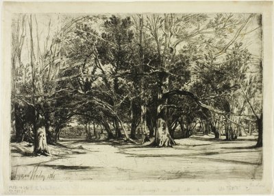 Sivutie Tipperaryssa tekijältä Francis Seymour Haden