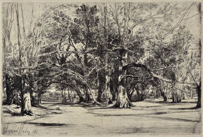Sivutie Tipperaryssa tekijältä Francis Seymour Haden