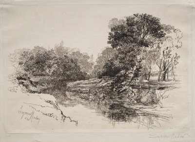 Joki Irlannissa, 1864. tekijältä Francis Seymour Haden