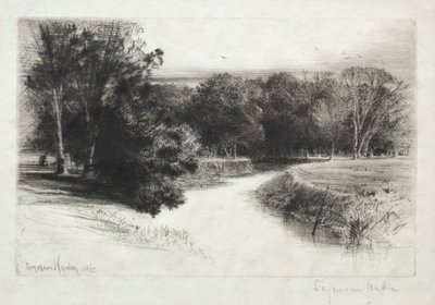 Auringonlasku Irlannissa tekijältä Francis Seymour Haden