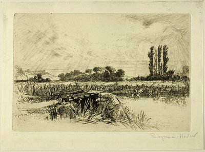 Vesiniity tekijältä Francis Seymour Haden