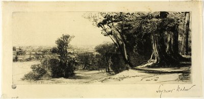 Early Morning, Richmond Park tekijältä Francis Seymour Haden