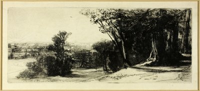 Early Morning, Richmond Park tekijältä Francis Seymour Haden