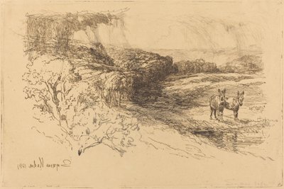 Encombe Woods (nro 1) tekijältä Francis Seymour Haden