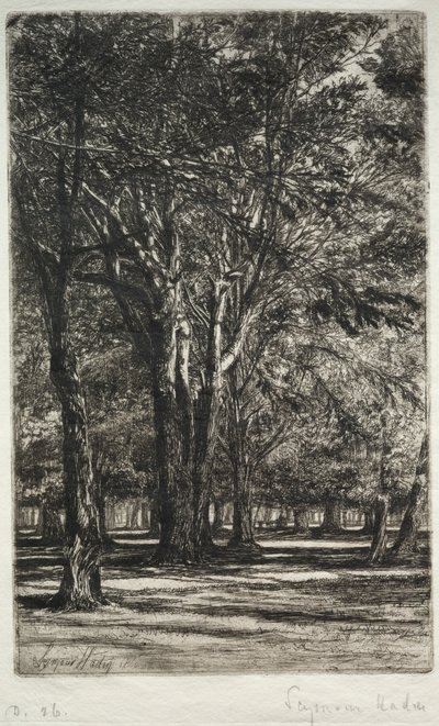 Kensington Gardens (suuri lautanen) tekijältä Francis Seymour Haden