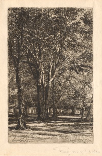 Kensington Gardens, nro 2 (iso lautanen) tekijältä Francis Seymour Haden