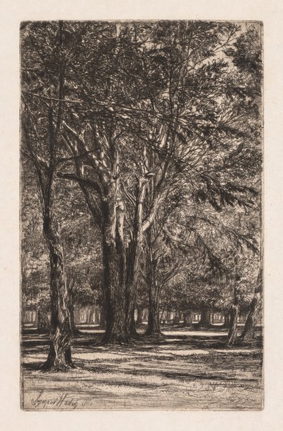 Kensington Gardens, nro 2 (The Larger Plate) tekijältä Francis Seymour Haden