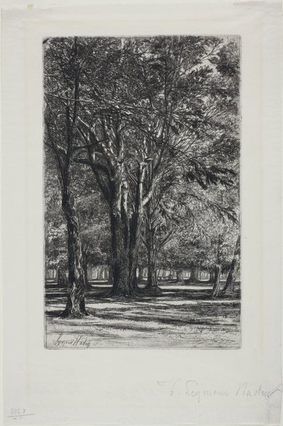Kensington Gardens, nro II (iso levy) tekijältä Francis Seymour Haden