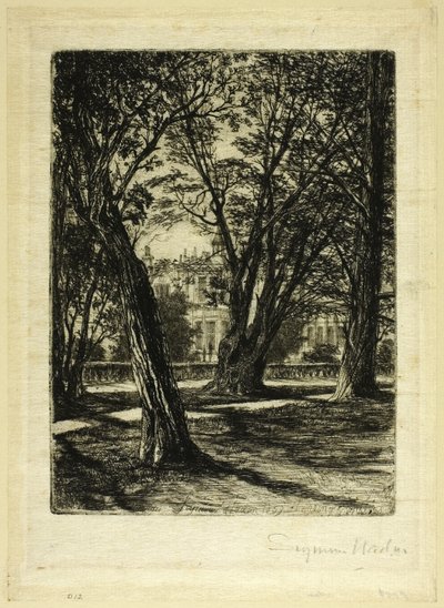 Kensington Gardens, No. I (pieni levy) tekijältä Francis Seymour Haden