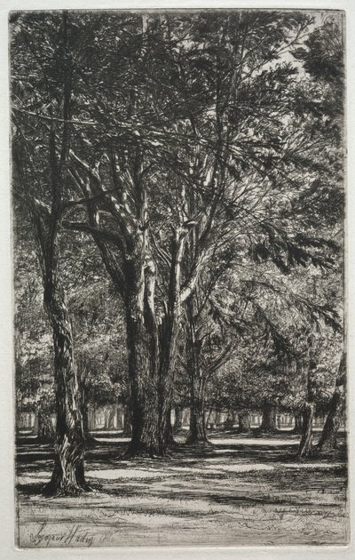 Kensington Gardens The Large Plate, 1860. tekijältä Francis Seymour Haden