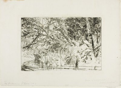 Puron suu, nro II tekijältä Francis Seymour Haden