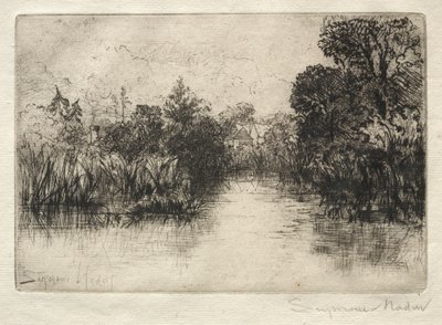 Shere Mill Pond Pieni tutkimus. tekijältä Francis Seymour Haden
