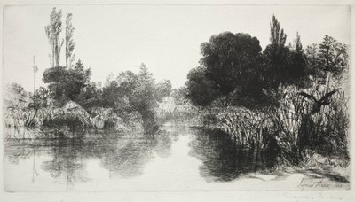 Shere Mill Pond, nro 11 The Large Plate, 1860 ja myöhemmin. tekijältä Francis Seymour Haden
