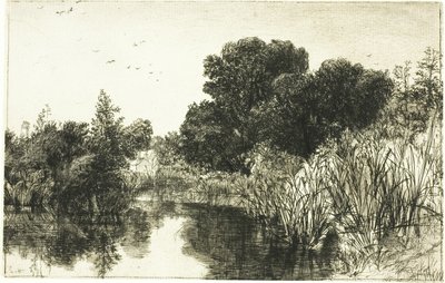 Shere Mill Pond, nro II (iso levy) tekijältä Francis Seymour Haden