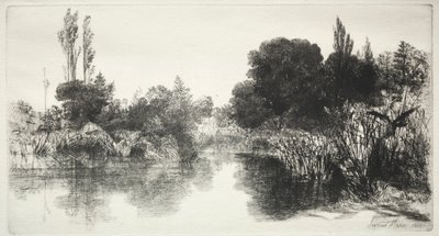 Shere Mill Pond The Larger Plate, 1860. tekijältä Francis Seymour Haden