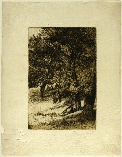 Katon alla... tekijältä Francis Seymour Haden