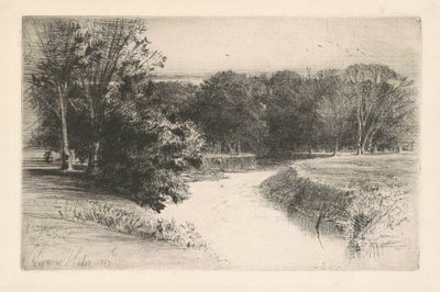 Auringonlasku Irlannissa tekijältä Francis Seymour Haden