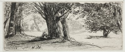 Holly Field tekijältä Francis Seymour Haden
