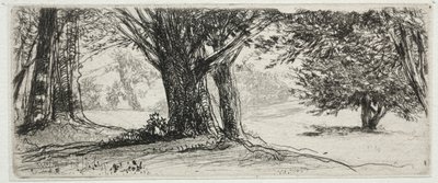 Holly Field. tekijältä Francis Seymour Haden