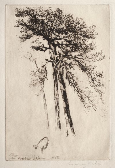 Uusin puu tekijältä Francis Seymour Haden