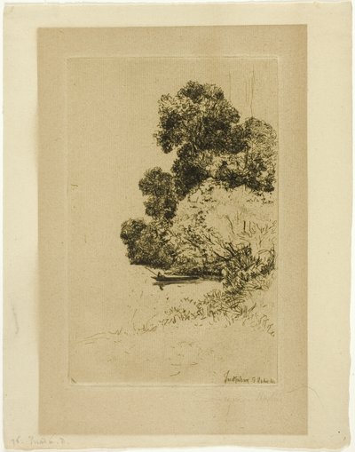 Twickenhamin pensaat tekijältä Francis Seymour Haden