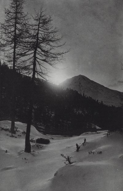 Alpit: lähellä Obergurglia (m/w kuva) tekijältä Francis Sydney Smythe