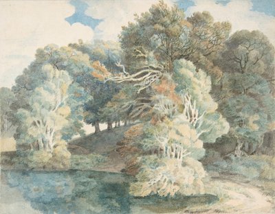 Puut järven rannalla, Peamore Park, lähellä Exeteria, Devonissa, 1790-1810. tekijältä Francis Towne