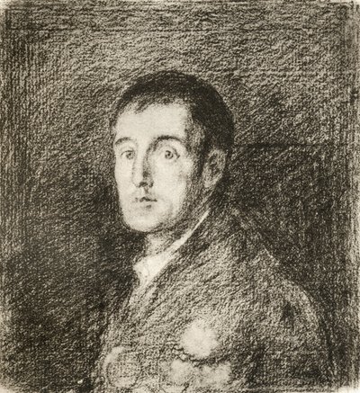 Arthur Wellesley tekijältä Francisco (after) Goya y Lucientes