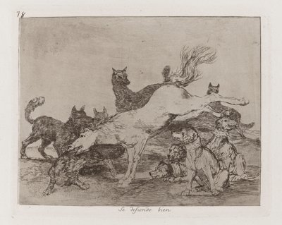 Hän puolustaa itseään hyvin, levy 78 julkaisusta The Disasters of War tekijältä Francisco de Goya