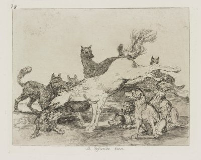 Hän puolustaa itseään hyvin. (Hän puolustaa itseään hyvin.), pl. 78 sarjasta The Disasters of War tekijältä Francisco de Goya