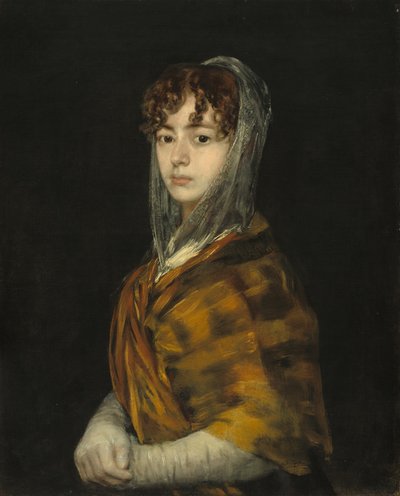 Lady Sabasa Garcia, n. 18061811. tekijältä Francisco de Goya
