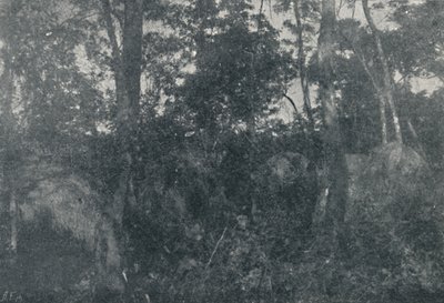 Indian Cabins, 1895 tekijältä Francisco Henszler