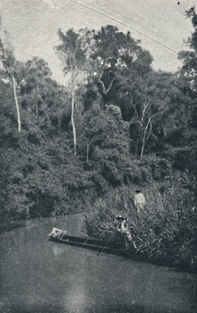 S. Anastacio River, 1895 tekijältä Francisco Henszler