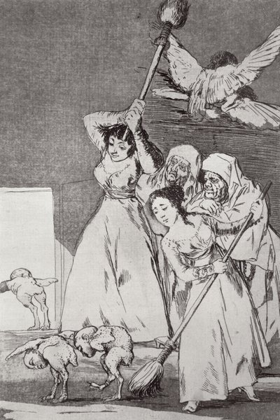193-0082120 He menevät, kynittynä, lautanen 20 "Los caprichos", pubi. 1799 (etsaus) tekijältä Francisco Jose de Goya y Lucientes