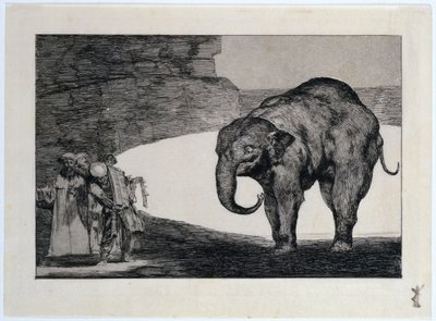 Hullu juttu, auts: Lisäsanonta: Muita kansan lakeja tekijältä Francisco Jose de Goya y Lucientes